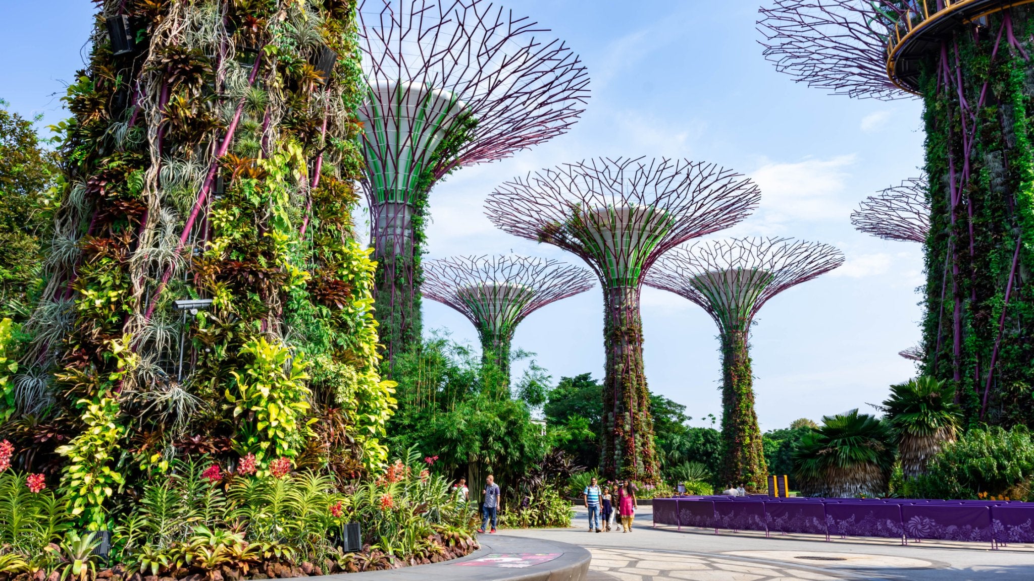 Les Superarbres de Singapour : Merveilles Technologiques ou Aberration Écologique ? - APPIA MARKET